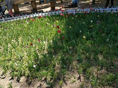 -长春公园(普阳街道)