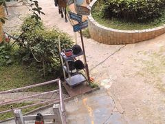 -水濂山乐民游艺园