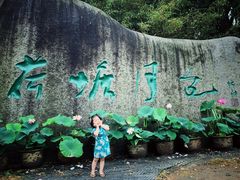 -荷塘月色湿地公园·向阳花洲