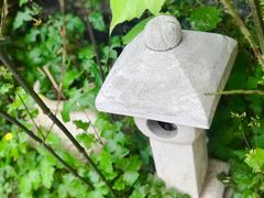 -纳地素食(石门公园店)