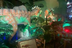 -恐龙探索乐园(磁器口店)