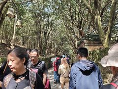 -普陀山慧济禅寺