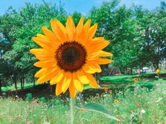 -钟山体育运动公园
