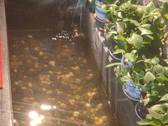 -金山烤肉(中兴公园店)