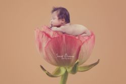 点击看大图 -如意宝贝儿童摄影室