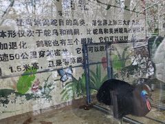-济南野生动物世界
