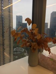 -SalonRivelin 沙龙瑞菱