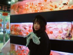 -苏州艺都古玩花鸟市场