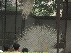 -太原动物园