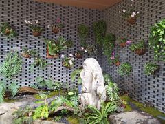 -云溪植物园