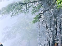 -秦岭天竺山景区