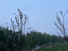 -咸阳湖景区