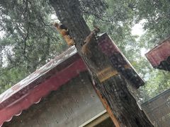 景观位-莫多多餐厅