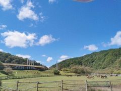 -大水川景区