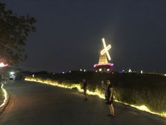 -大塘金香草谷
