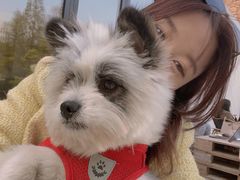 -J Create城市露营咖啡·简餐·宠物(上海动物园店)