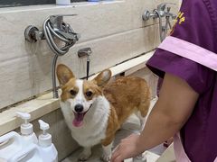 -暖阳宠物医院·犬猫康复中心·骨科