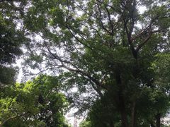 -兆祥公园