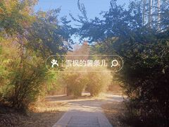 -青龙山国家森林公园