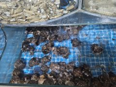 -润洲海鲜食府