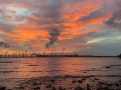 -宝安西湾红树林湿地公园