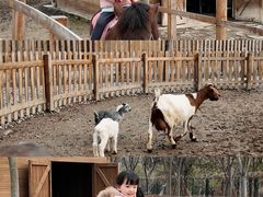 -上海佘山世茂艾美酒店