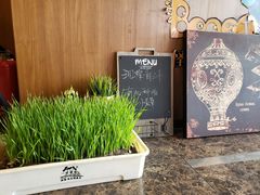 -怪兽炸鸡.轻沙拉(锦州店)