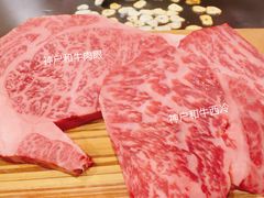 -神户牛排餐厅MOURIYA(总店)