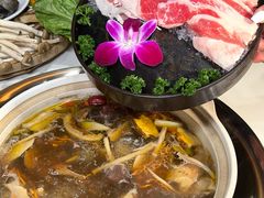 -土连锅·现熬养生汤锅(梁家巷店)