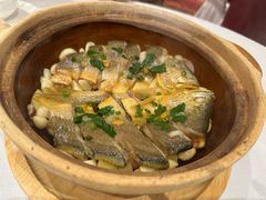 潮式普宁豆酱啫生态黄鱼-新雅粤菜馆(南京东路店)