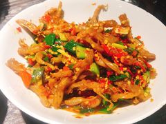鸭掌筋-壹盏灯(惠农店)
