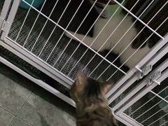 -天时宠物医院24小时疑难病例会诊中心(顾乡大街总院)