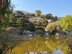 -北京西山国家森林公园