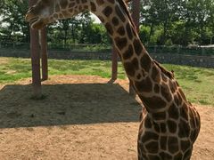 -石家庄市动物园