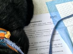 -萌兽医馆·宠物医院·猫骨科(创景店)