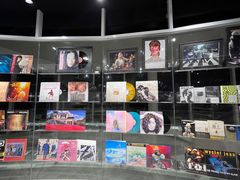 -浣熊唱片店(上海影城店)