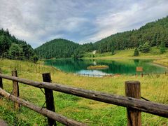 -武陵山森林公园