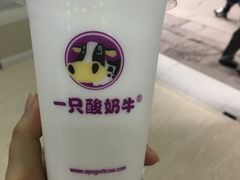 -一只酸奶牛(奎星楼店)