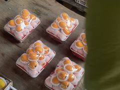 -双福水果批发市场