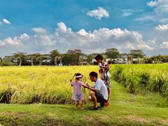 -迪茵湖田家舍生态农场