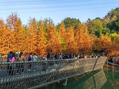 -梅峰山地公园