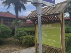 -金孔雀温泉旅游度假村