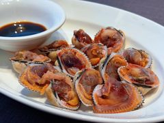 血蚶-高佳庄·舟山海鲜(海景旗舰店)