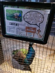 -酷嗒动物文化乐园(cutezoo西溪乐天城店)