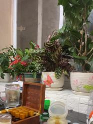 -北京美痣堂古方祛痣斑疣瘊