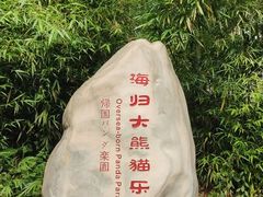 -中国大熊猫保护研究中心雅安碧峰峡基地