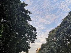 -福建师范大学(仓山校区)