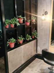 -时尚殿堂明星门店