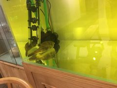 -甜心闲生传统手工冰粉(奎星楼店)