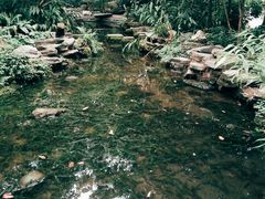 -成都市活水公园